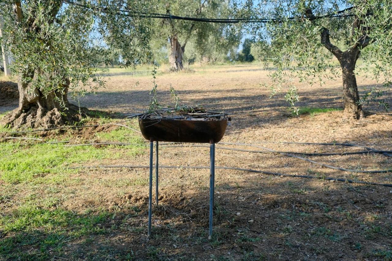 La Villa Di Campagna Пистиччи Экстерьер фото