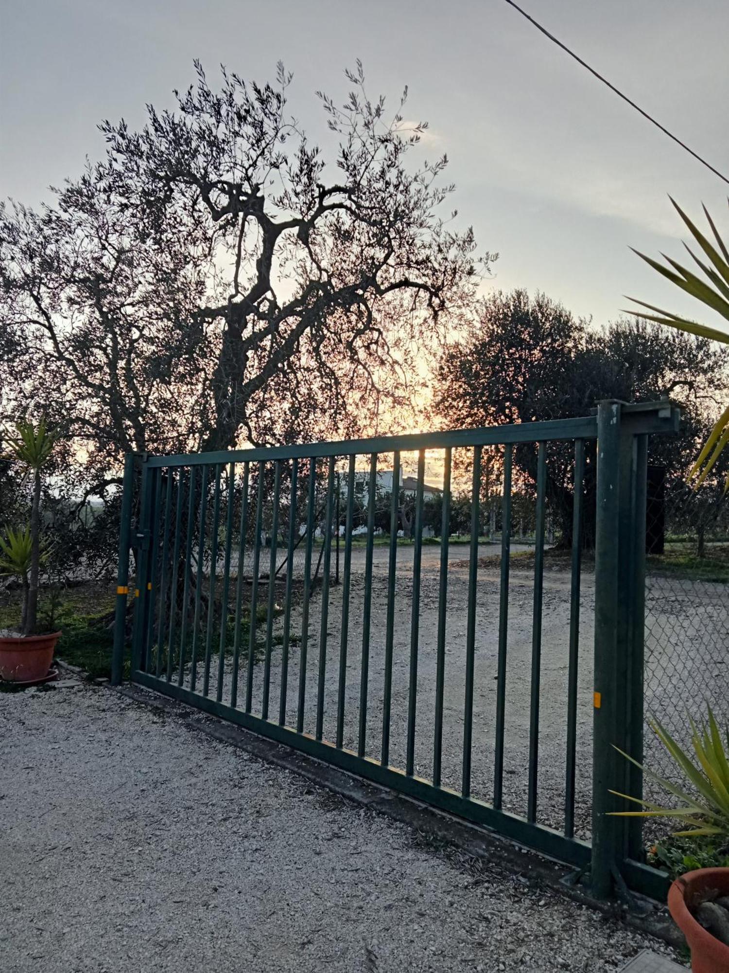 La Villa Di Campagna Пистиччи Экстерьер фото